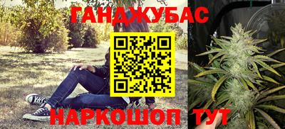 сатива Краснокаменск