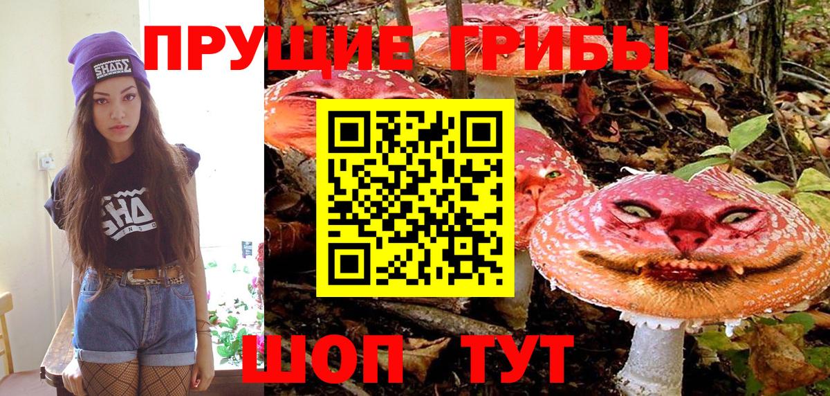 Екатеринбург  Галлюциногенные грибы Magic Shrooms  купить   Вход с VPN 